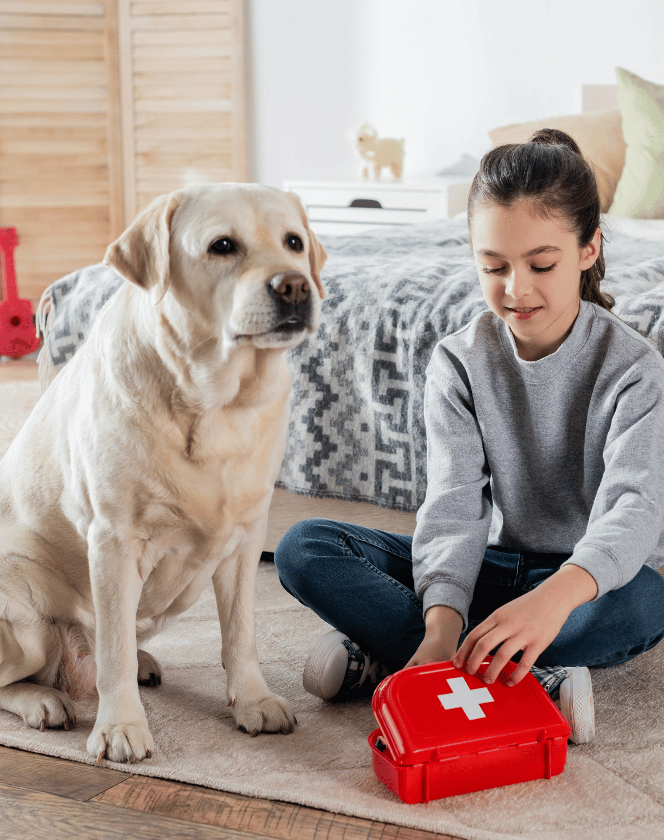 Hot Bargain Orion Springfield Central