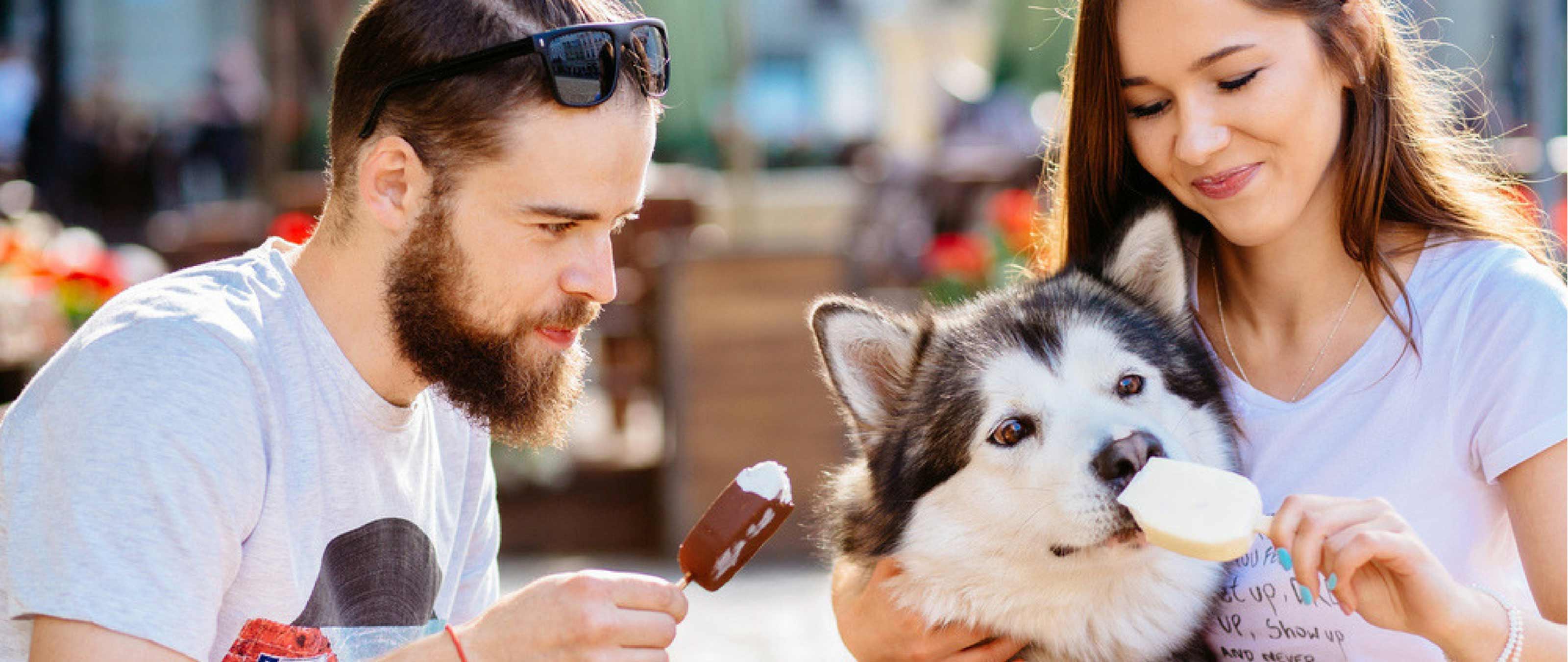 Dog Friendly Zones Orion Springfield Central