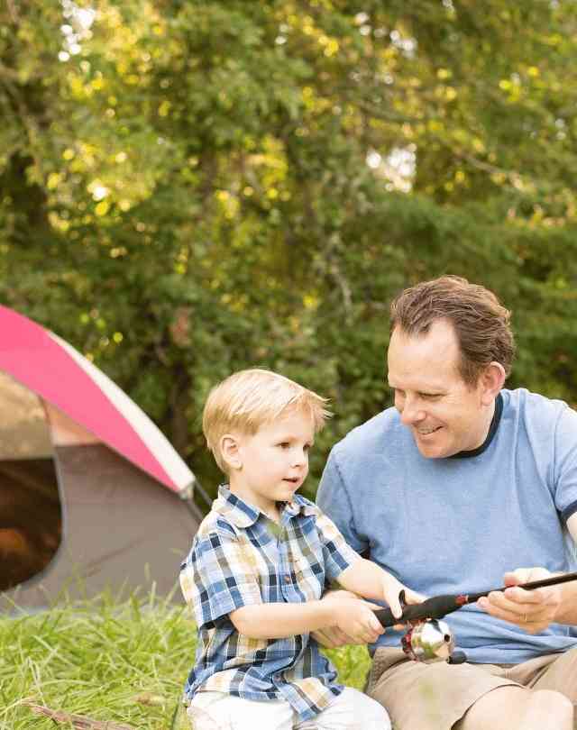 Hot Bargain Orion Springfield Central